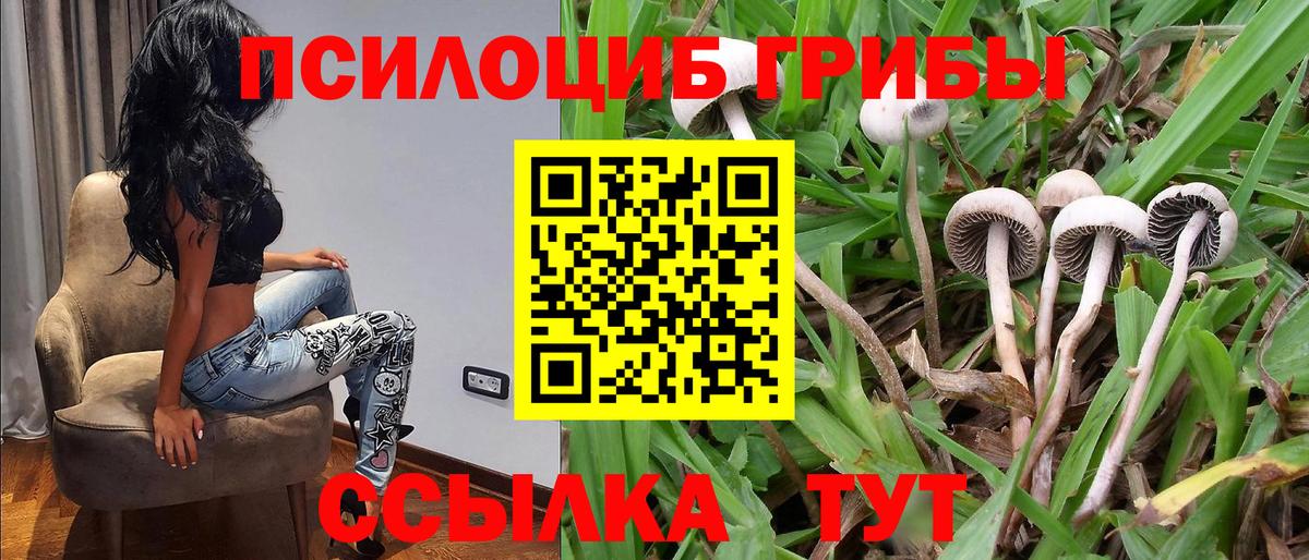 Галлюциногенные грибы GOLDEN TEACHER  Псилоцибиновые грибы GOLDEN TEACHER  Вход с VPN  Спасск-Дальний 